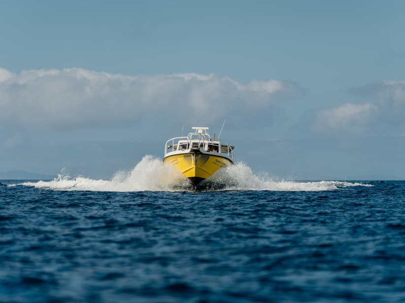 Motovedetta Sailornet in navigazione al largo, vista di prua